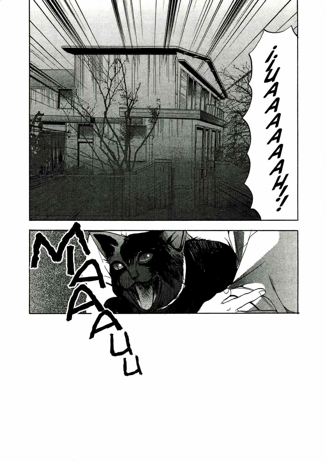 Ju-On (La Maldición) (Comic Release Group)